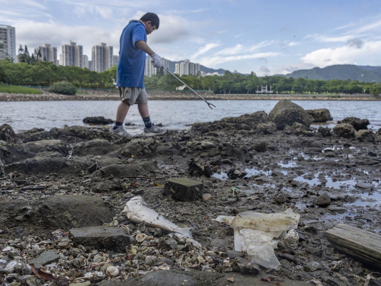 97% of HK's riverbank waste is plastic: Greenpeace