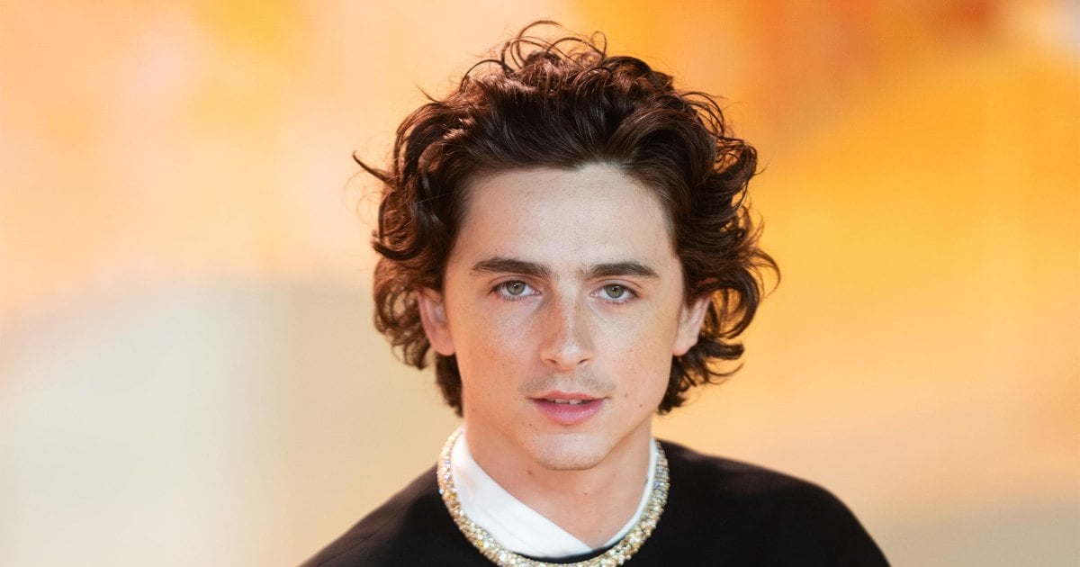 A Timothee Chalamet Lookalike Contest Is Headed to New York City