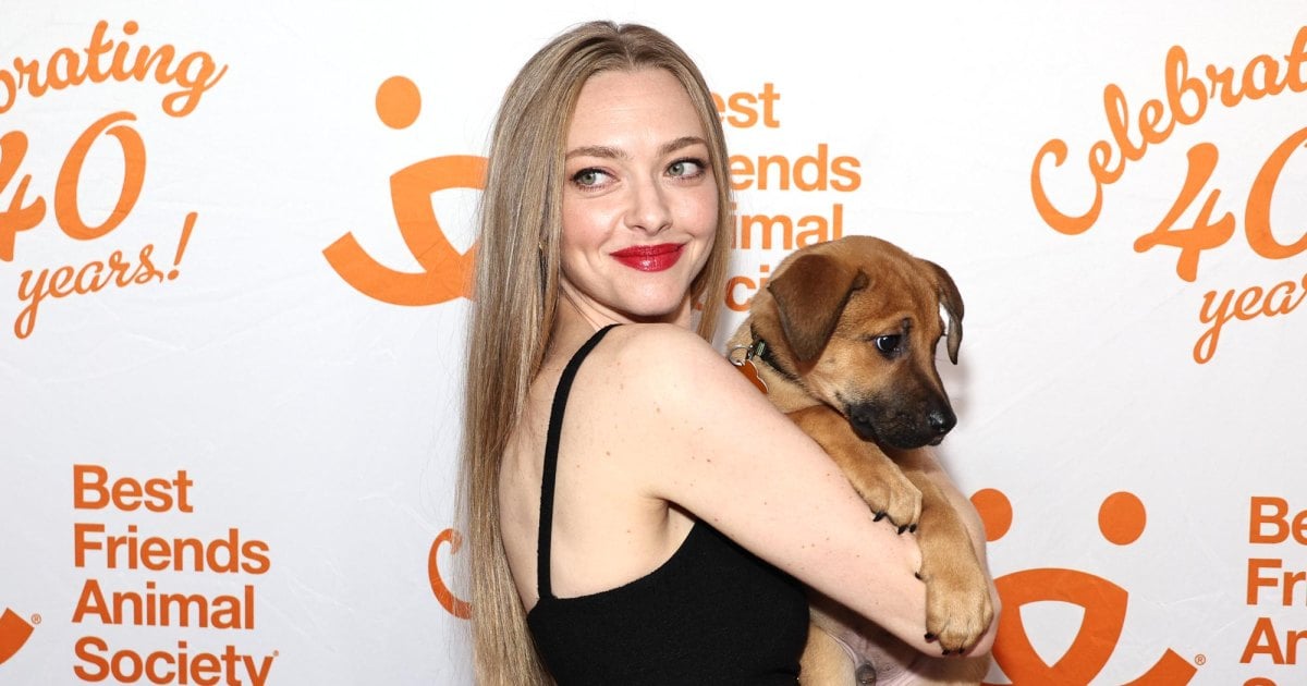 Amanda Seyfried Always Takes In Injured Animals on Her Farm