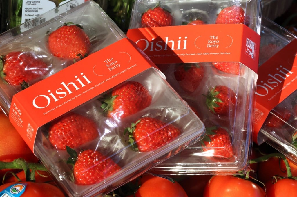 Are Oishii strawberries worth it?