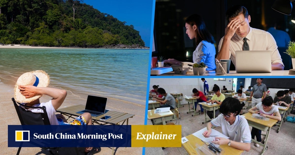 Are you a digital nomad? New lexicon reflects rapid China growth, changing social realities