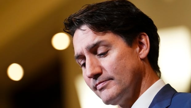 Attempts to put Trudeau leadership question to rest only making caucus tensions worse, MP says