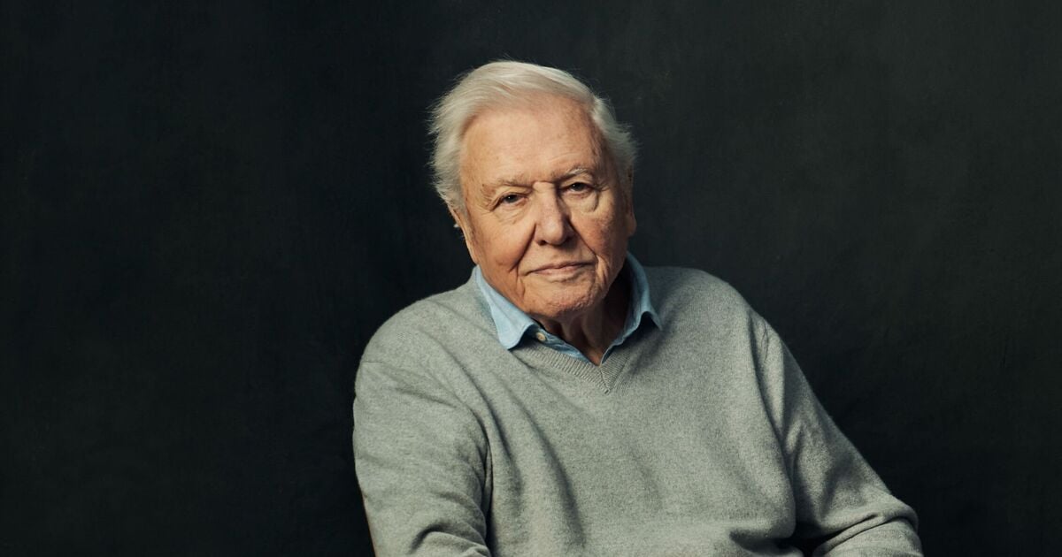 BBC to make major change to David Attenborough's nature documentaries 