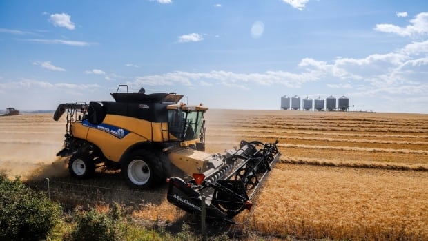 Canada on track to be world's 3rd-largest wheat exporter in '24-25 crop year