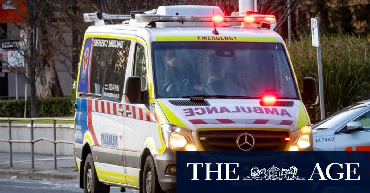 Child, adult die in buggy rollover on Victorian-NSW border