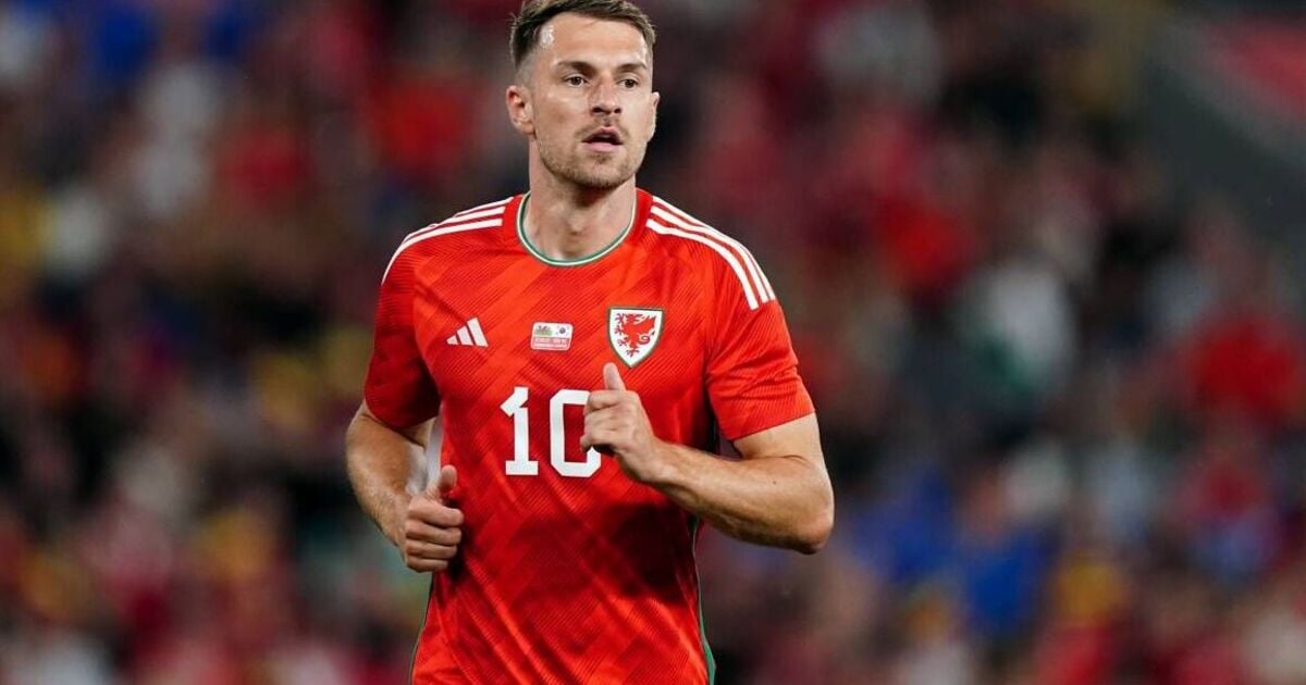 Craig Bellamy issues Aaron Ramsey with warning over potential Cardiff player-coach role