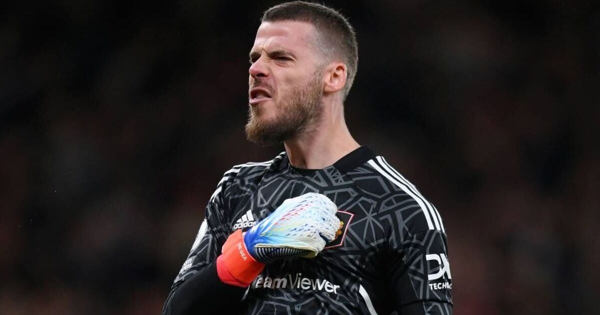 David de Gea sends message to Man Utd star Alejandro Garnacho after Brentford goal