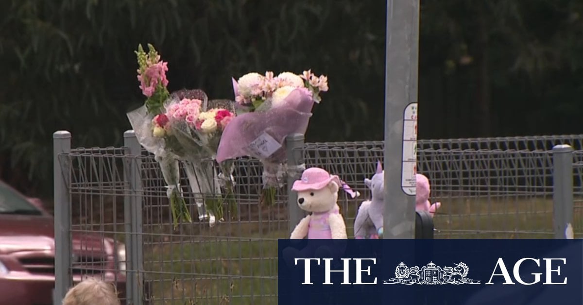 'Deeply loved' toddler mourned after being killed at pedestrian crossing