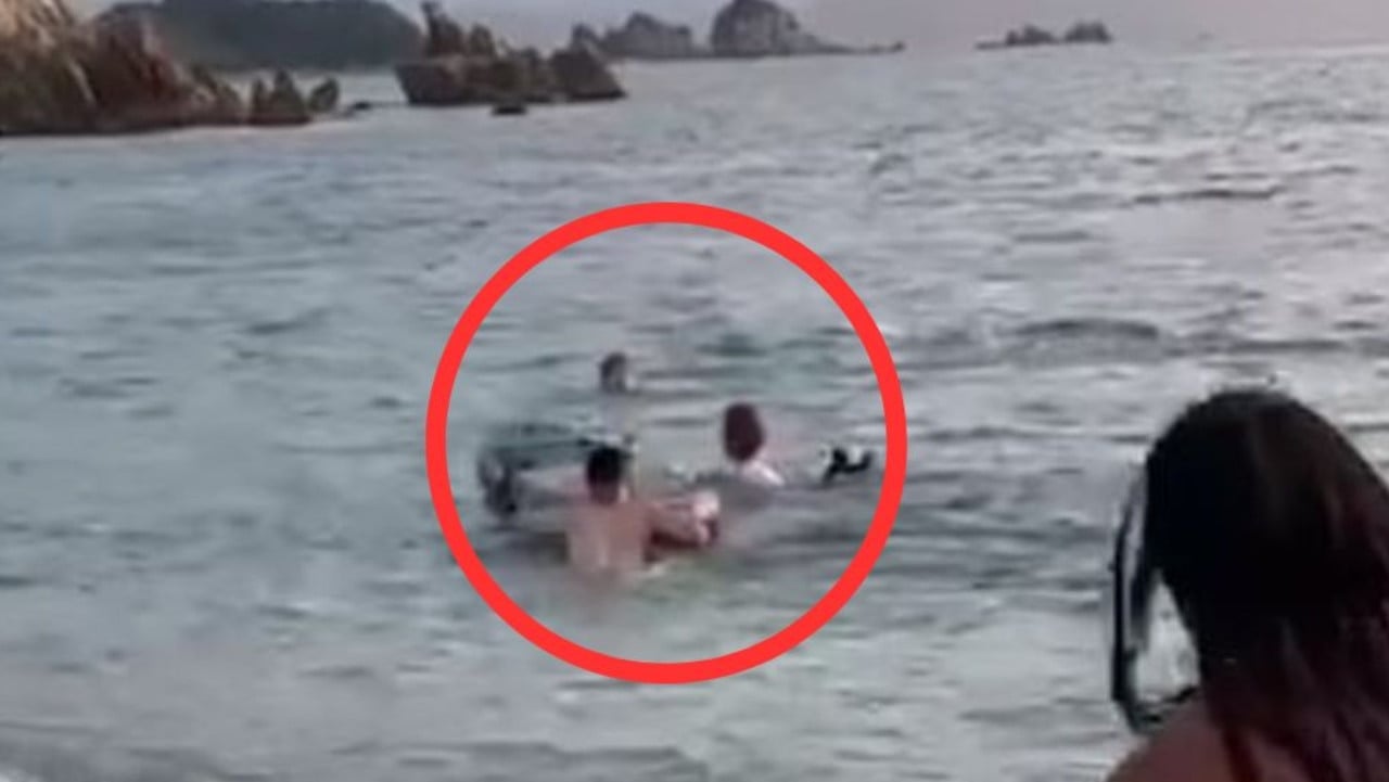 Disturbing video of sex-crazed dolphin attack