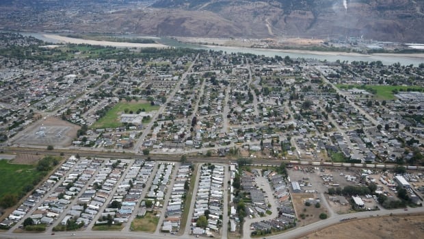 Dogs involved in fatal pet mauling in Kamloops, B.C., tested positive for drugs: city