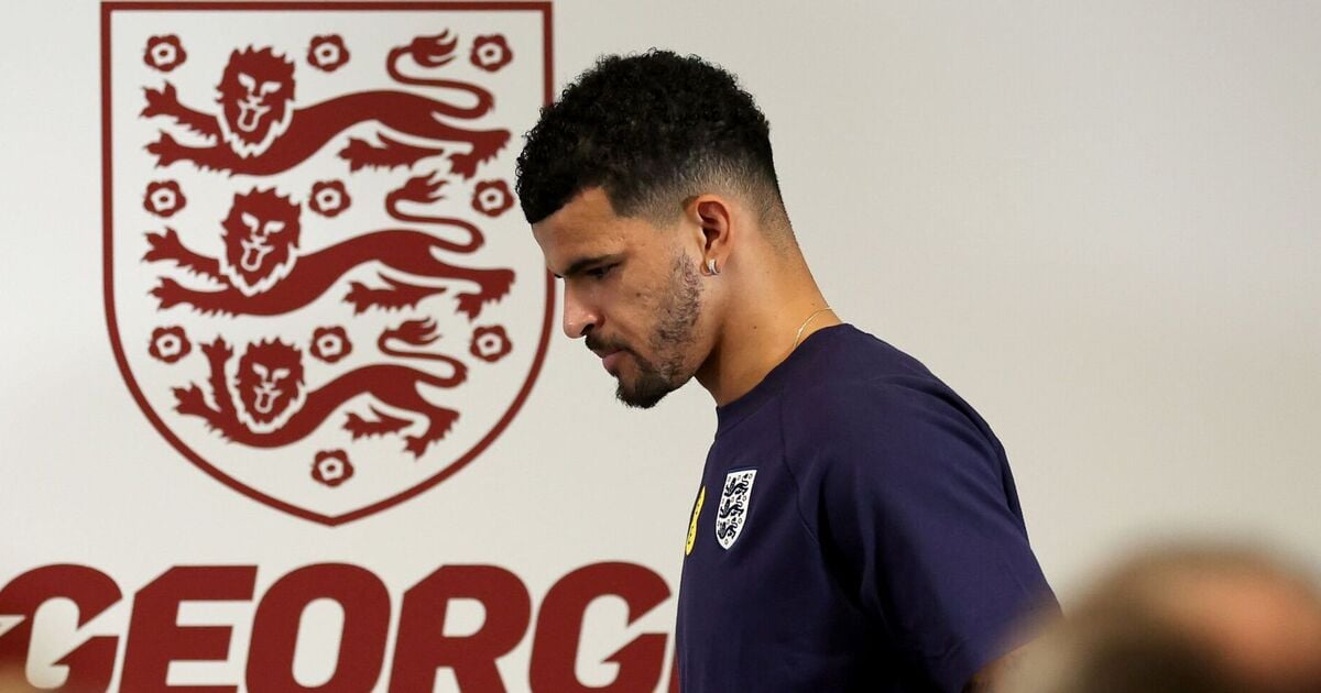 Dominic Solanke had England theory which came true after Gareth Southgate exit