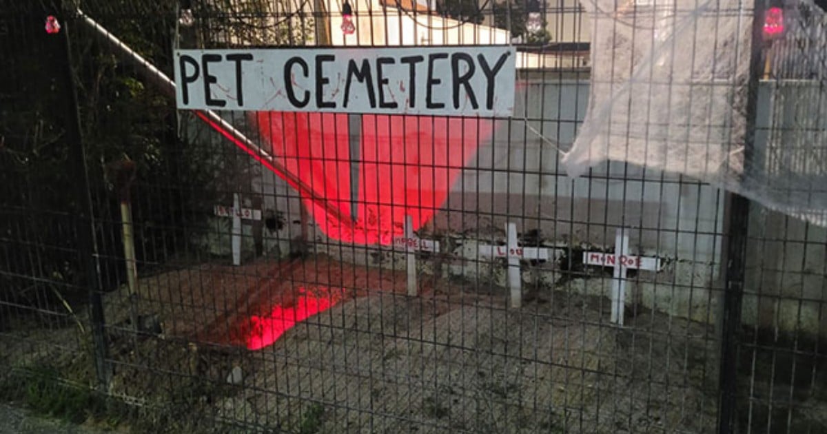 'Downright sick': Woman troubled by Katong resident's creepy 'pet cemetery' in backyard