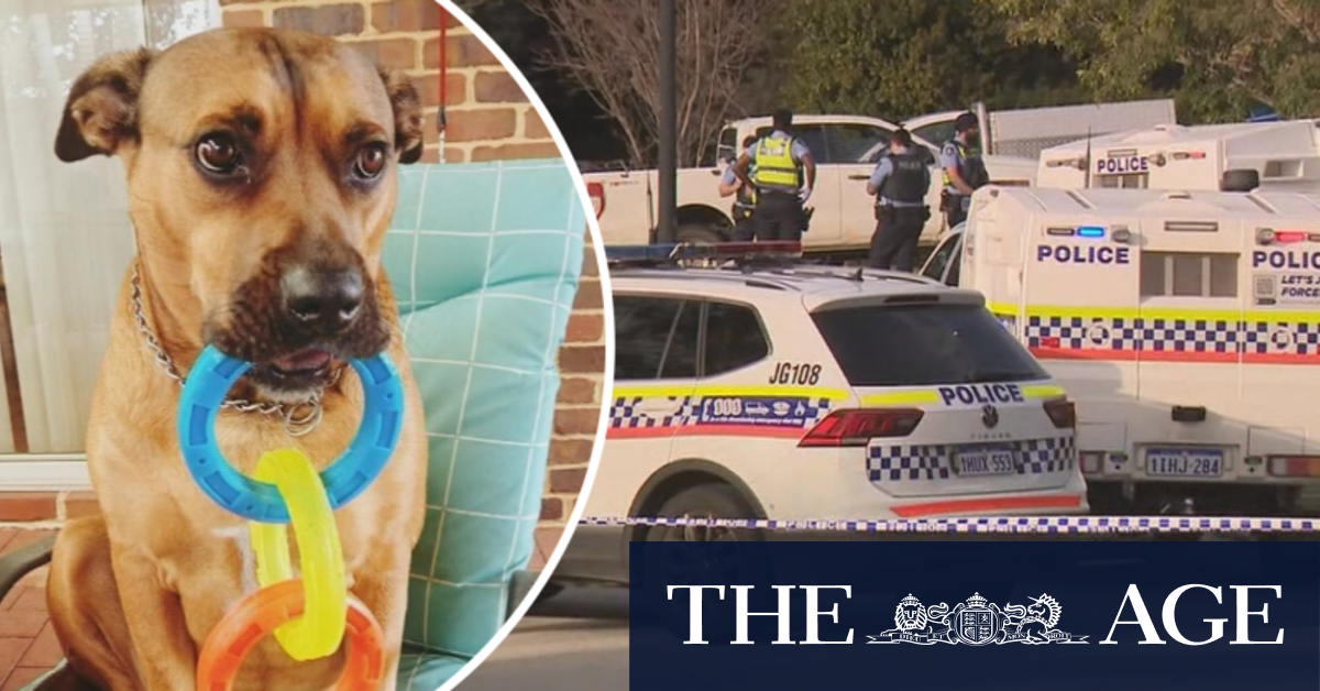 Family call for answers after police shoot dog