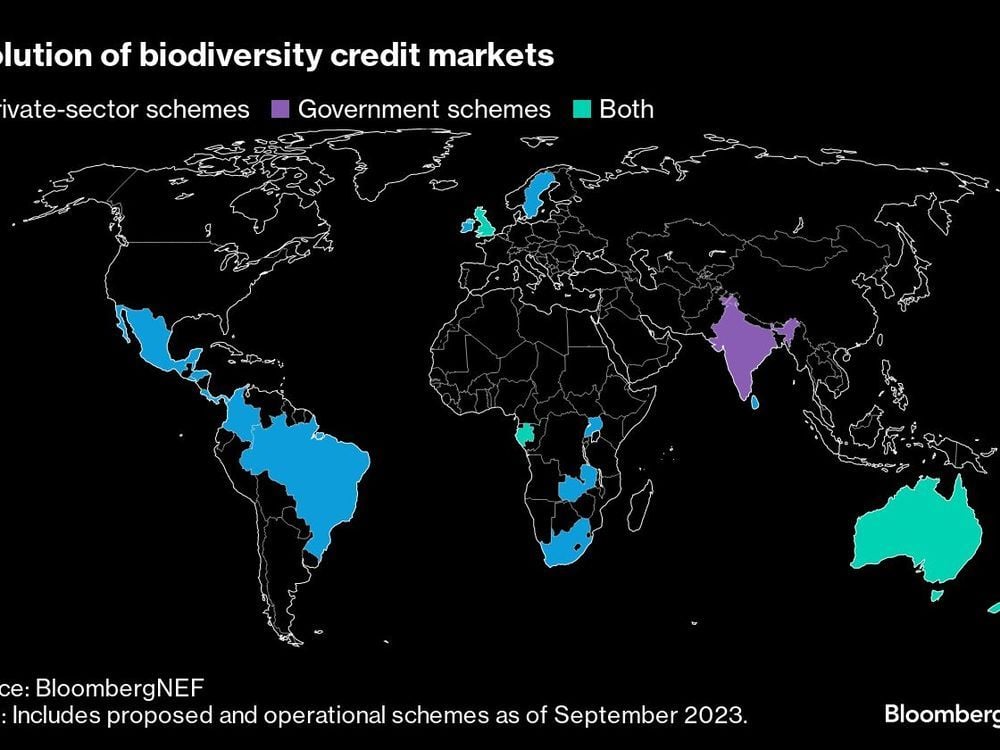 Global Banks Embark on a New Wave of Product Innovation Targeting Nature