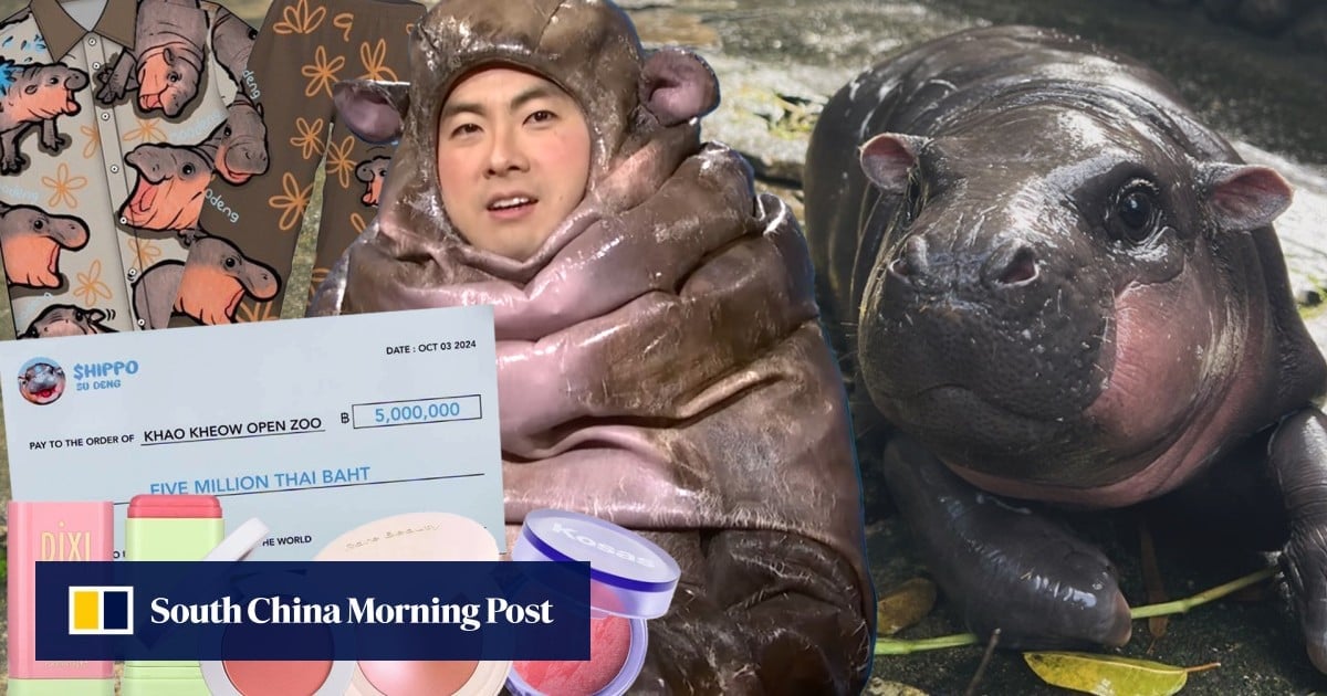 Global fame of Thai baby hippo inspires make-up products, life-enhancing US$150,000 gift