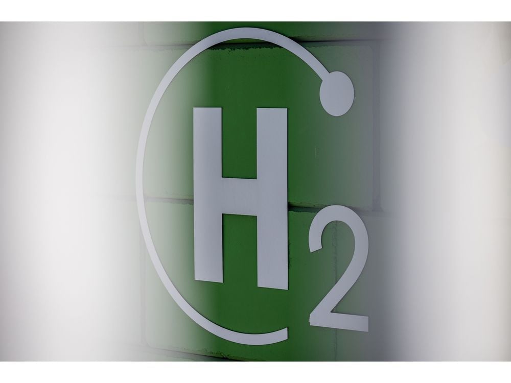 Green Hydrogen Hype Fades as High Costs Force Project Retreat