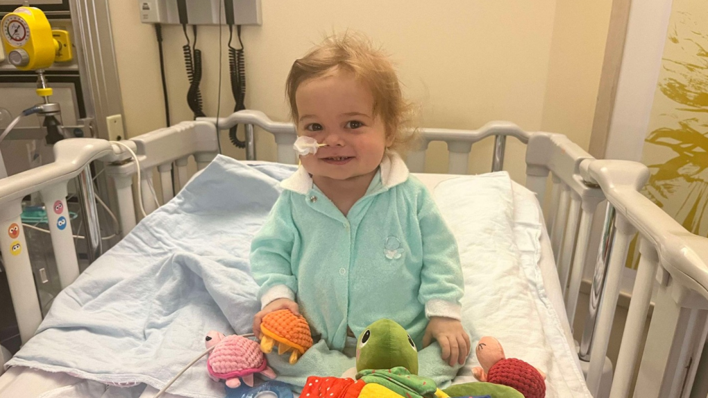 Guelph, Ont. toddler finally gets desperately needed live liver transplant