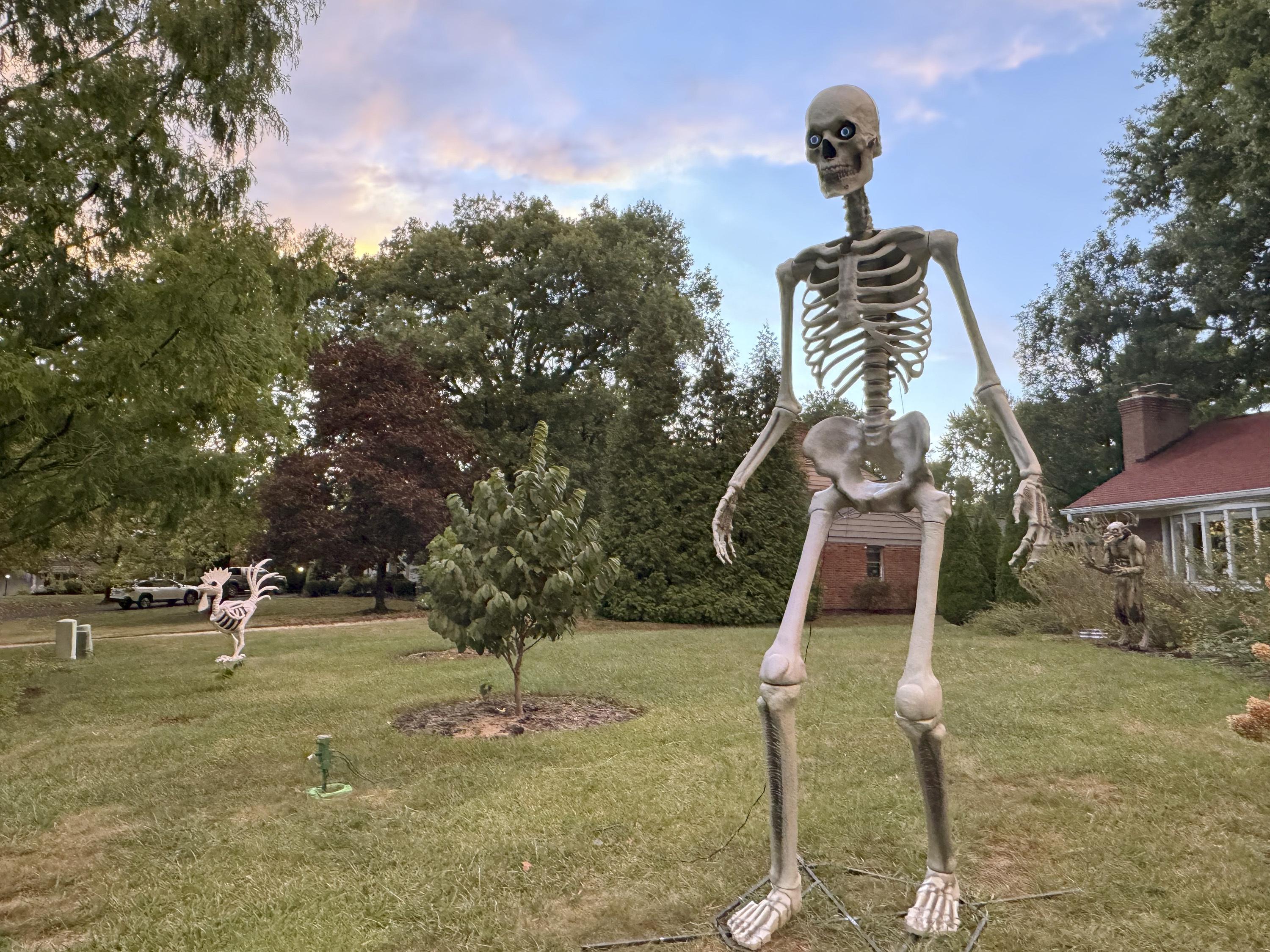 Halloween superfans see the culture catching up to them. (A 12-foot skeleton helped)