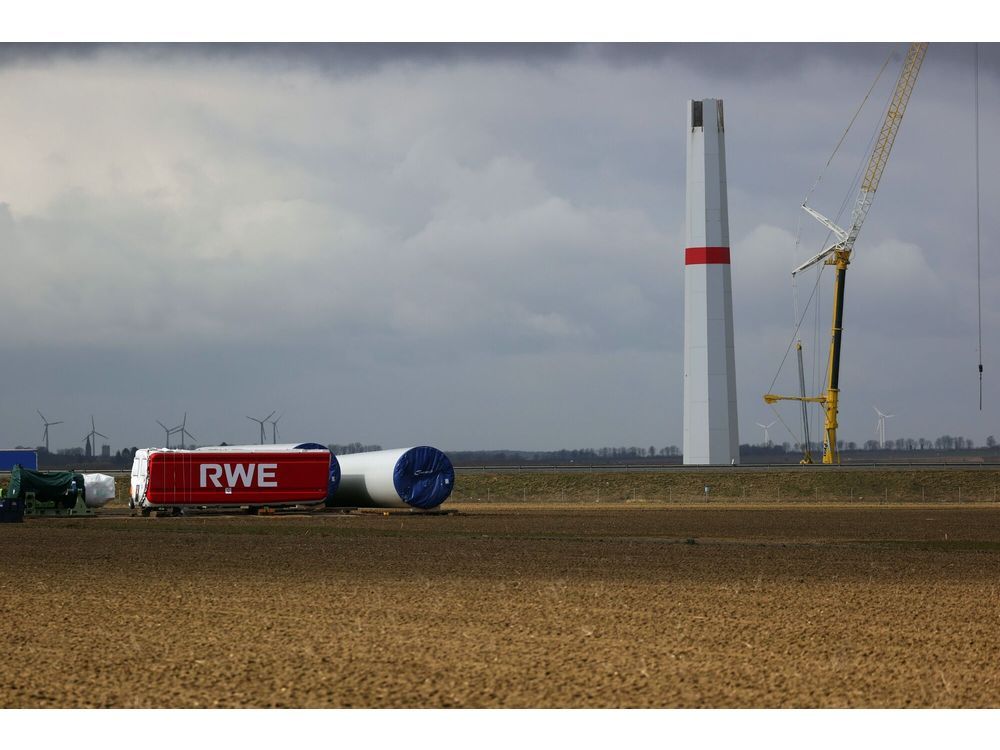 Hedge Fund Selwood Urges RWE to Give Clarity on Share Buyback