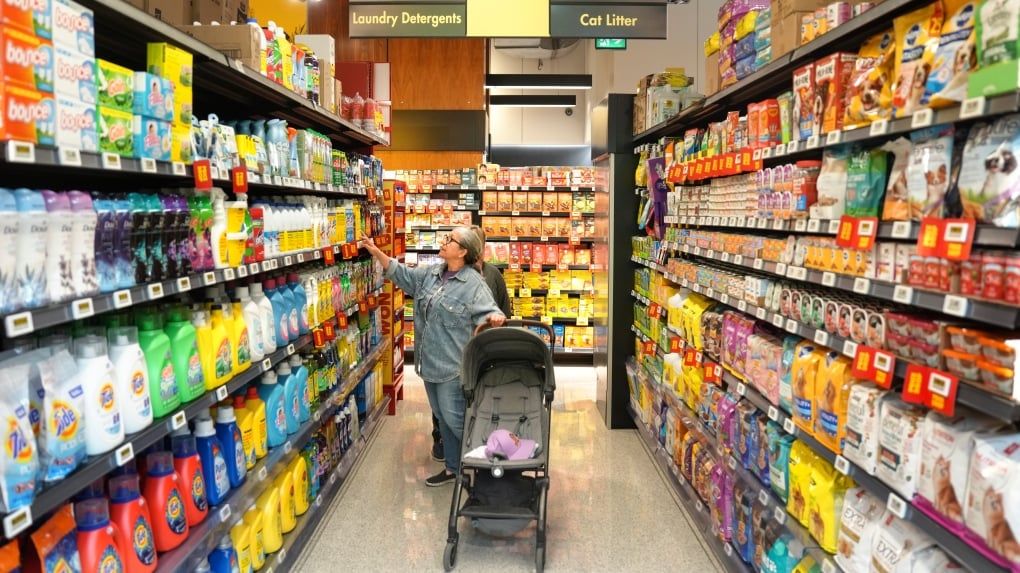 High grocery and rental costs plaguing Canadians, new survey finds 