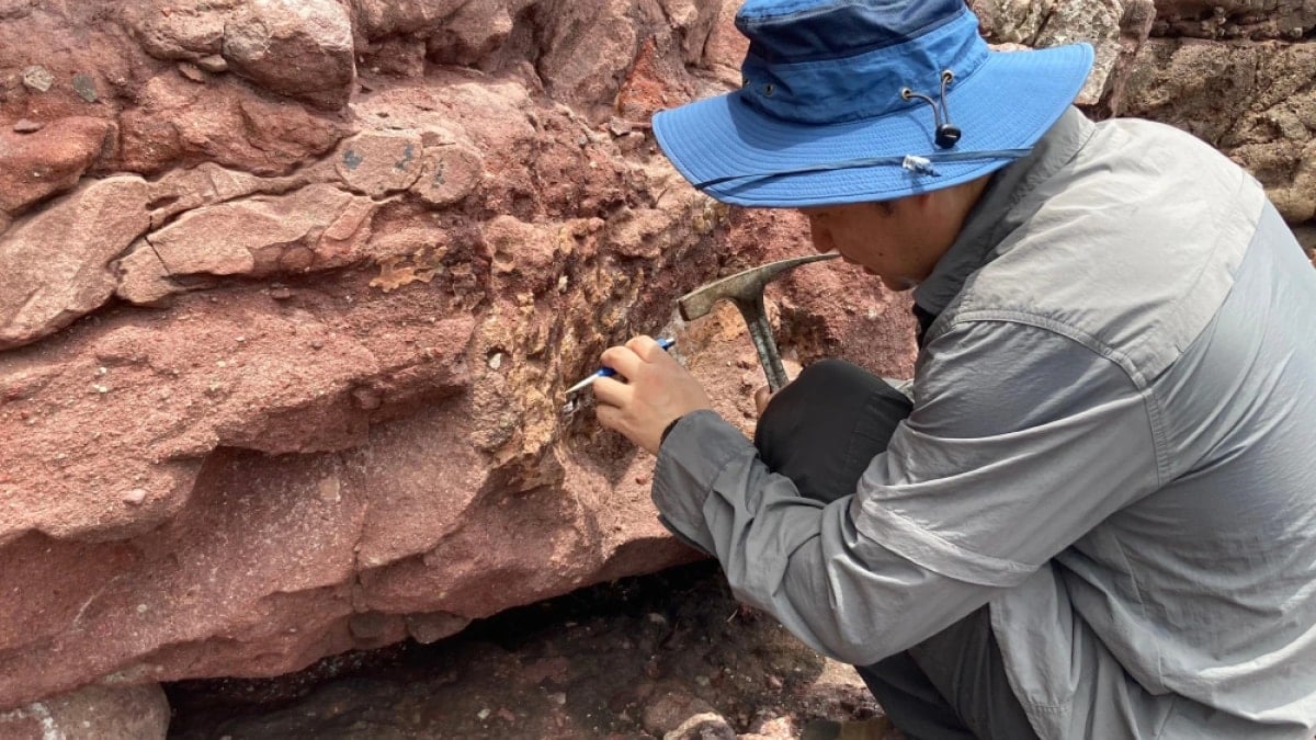 Historic Dinosaur Fossil Discovered in Hong Kong's UNESCO Geopark