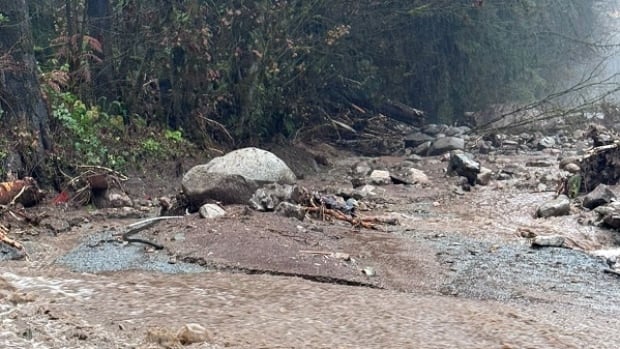 Homeowner reported missing amid B.C. mudslide