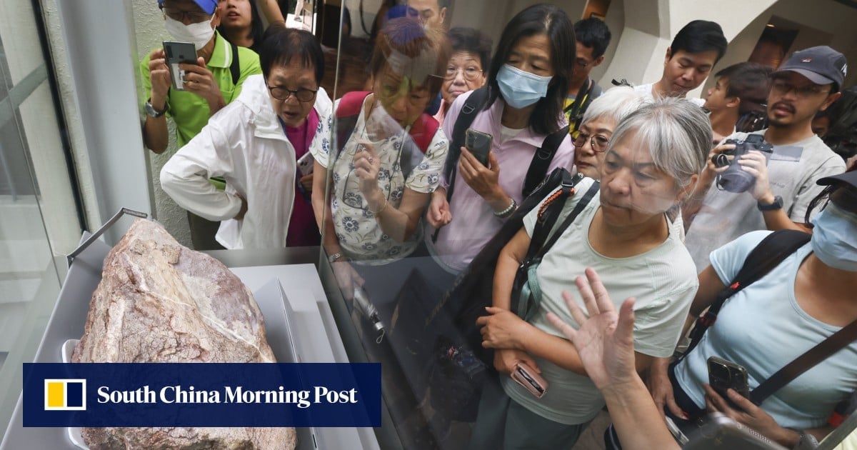 Hong Kong dinosaur fossil exhibit debuts to fanfare, but some say showcase lacks context