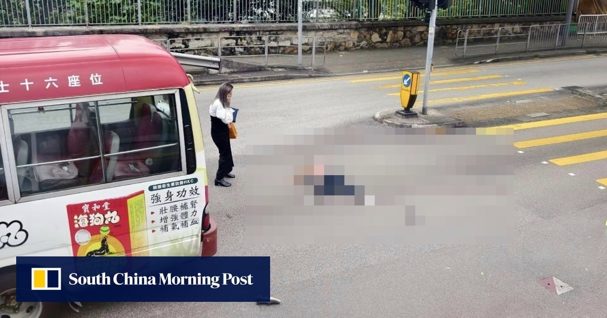 Hong Kong minibus driver allegedly 4 times over alcohol limit when vehicle hit woman, 74