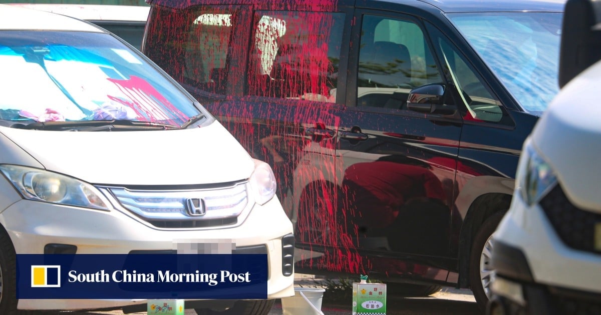 Hong Kong vandals strike 73 vehicles at 2 car parks in suspected triad attack