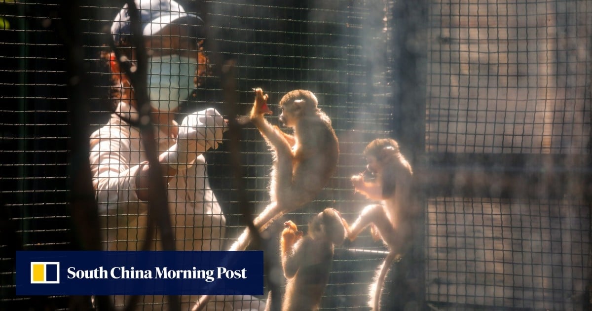 Hong Kong zoo closed after 8 animals found dead, necropsy under way