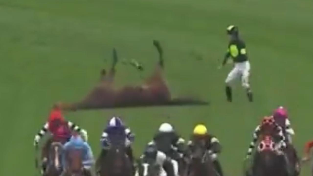 Horse collapses in distressing scenes