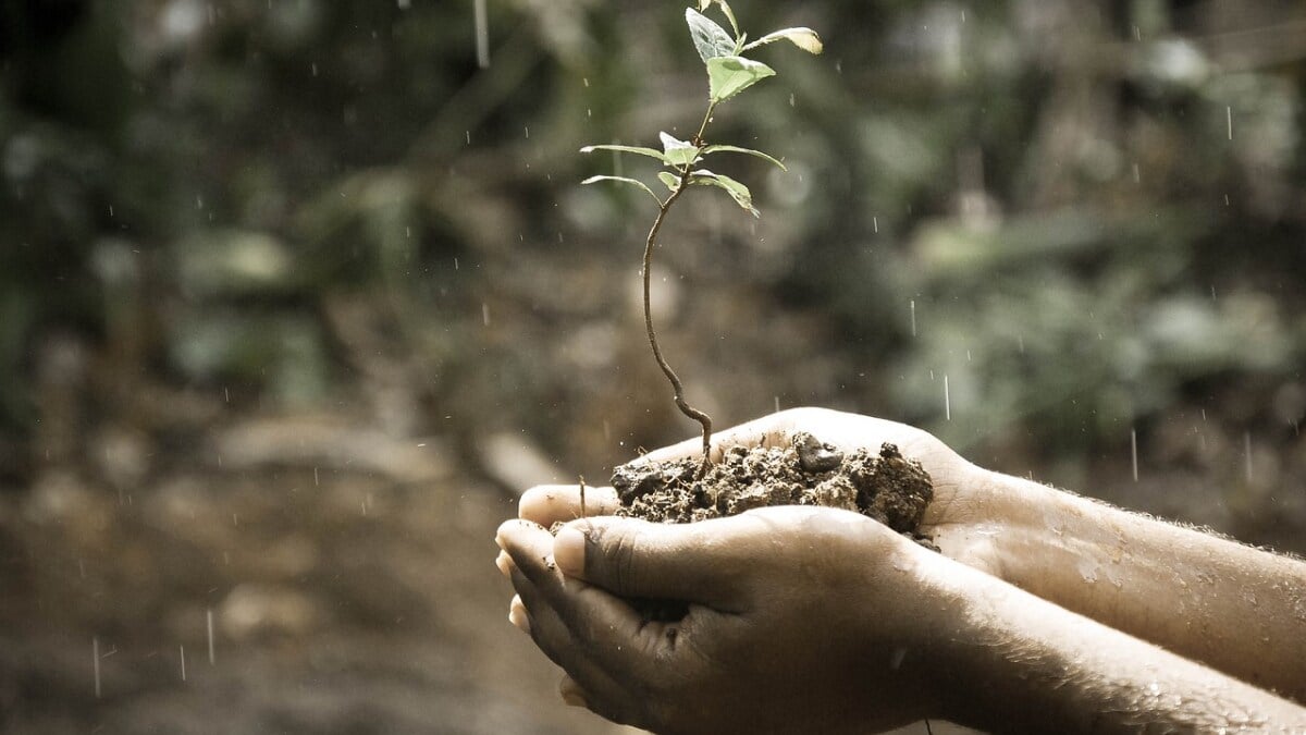 How Rainwater Helped Stabilise Early Cells, Enabling Life's Complexity on Earth