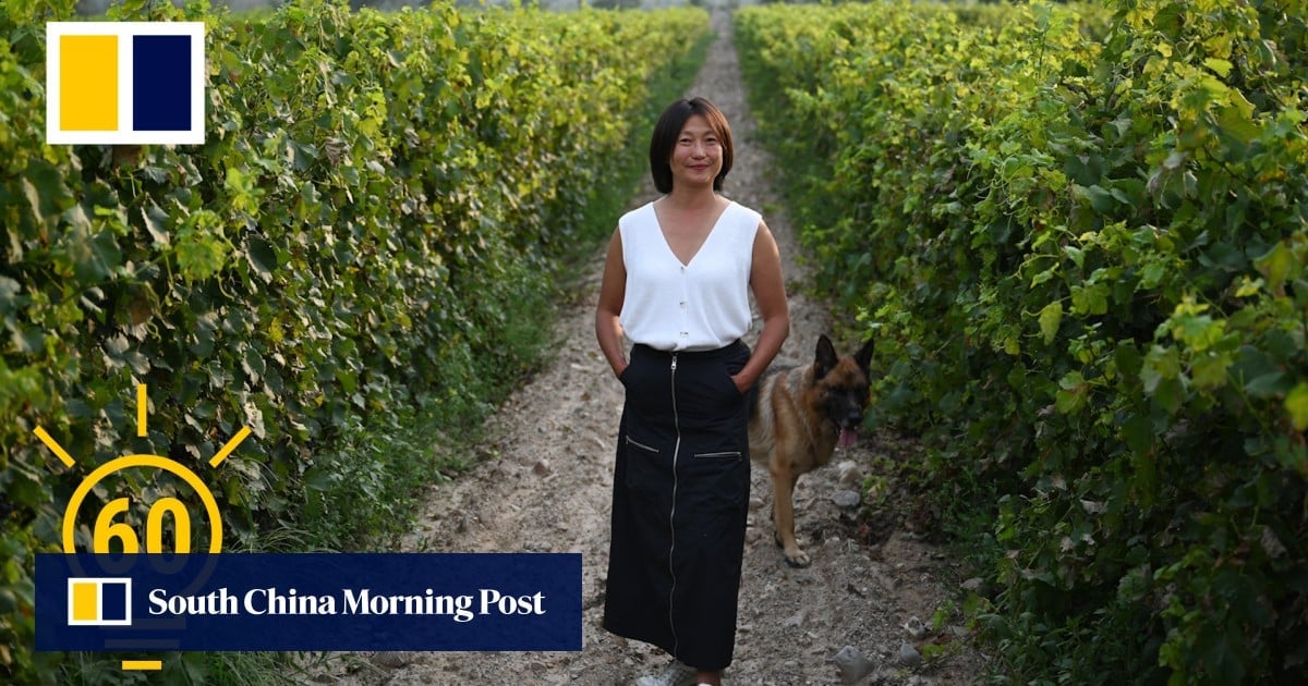 How some of the best wines in China are being made by women