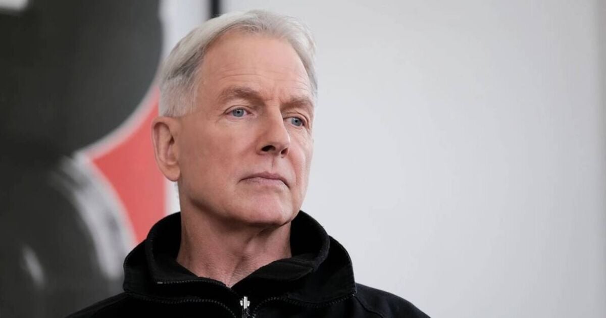 Inside NCIS star Mark Harmon's life - famous family, co-star clashes and heroic act