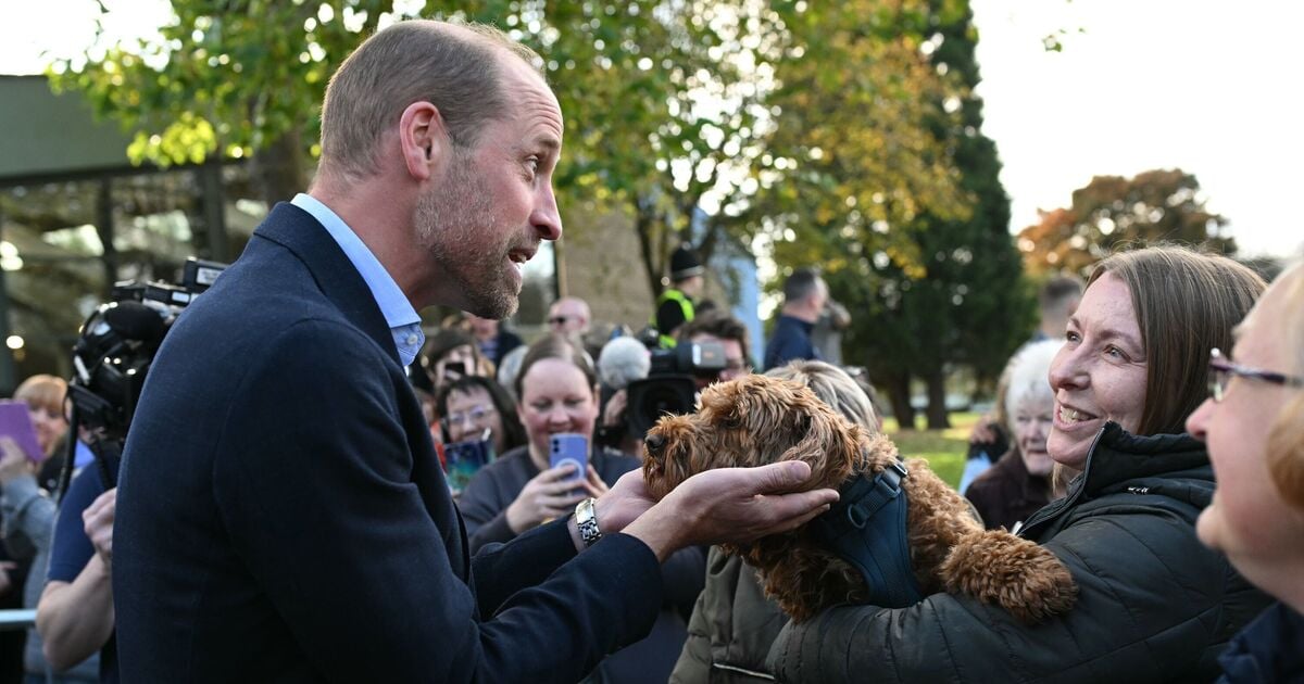 ITV GMB fans 'switch off' as Adil Ray admits to habit loved by Prince William