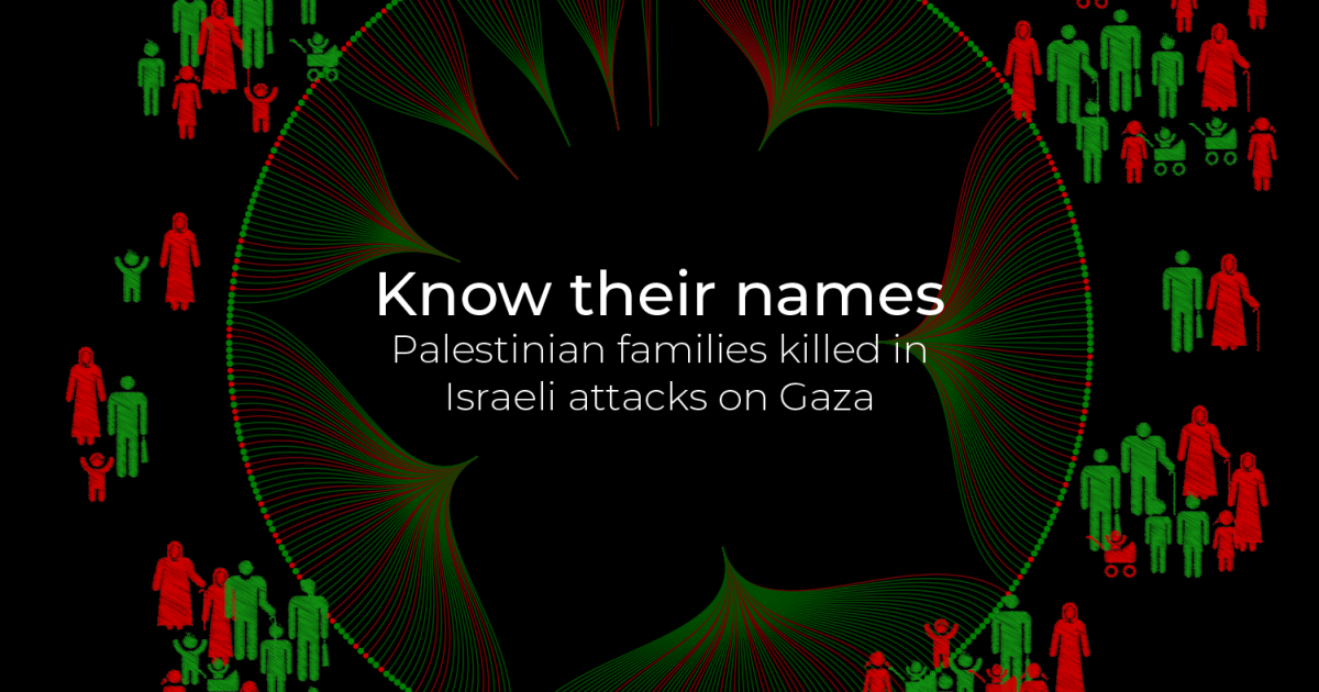 Know their names: Palestinian families killed in Israeli attacks on Gaza