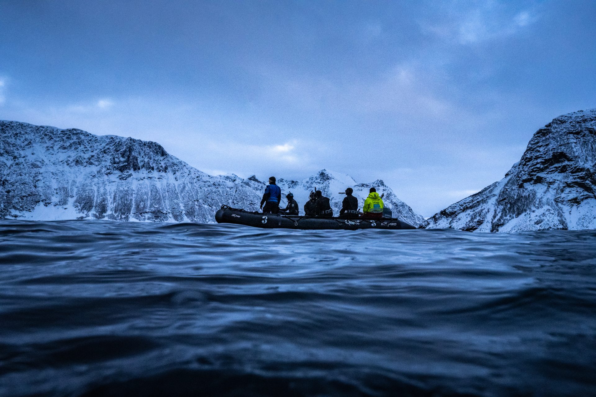 Lights, orcas, action