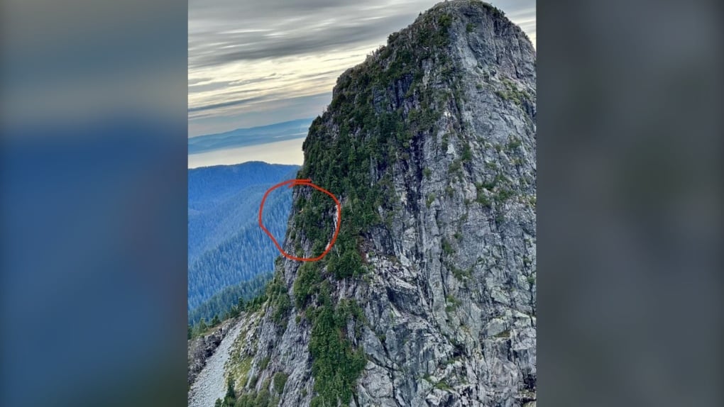 Man 'precariously hanging in some shrubs' rescued off side of B.C. mountain