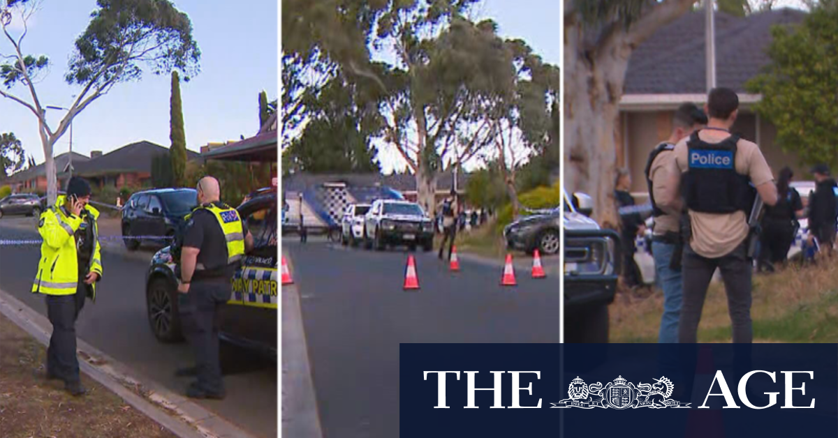 Man shot by police after alleged domestic violence stabbing in Melbourne