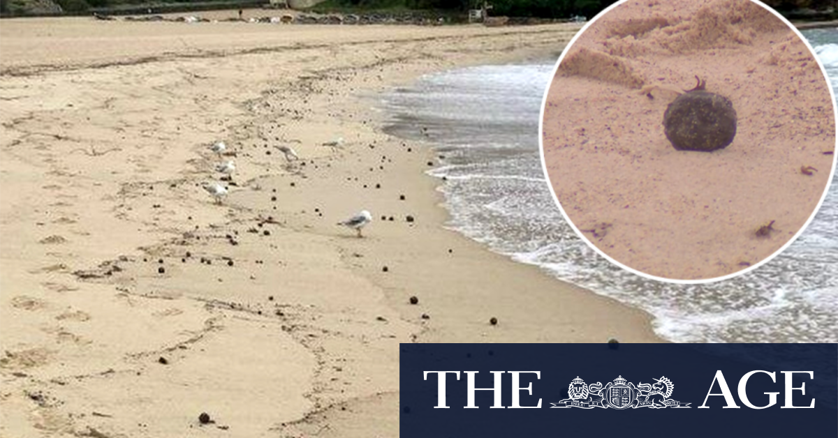 Mystery over ball-shaped debris deepens as second Sydney beach closed