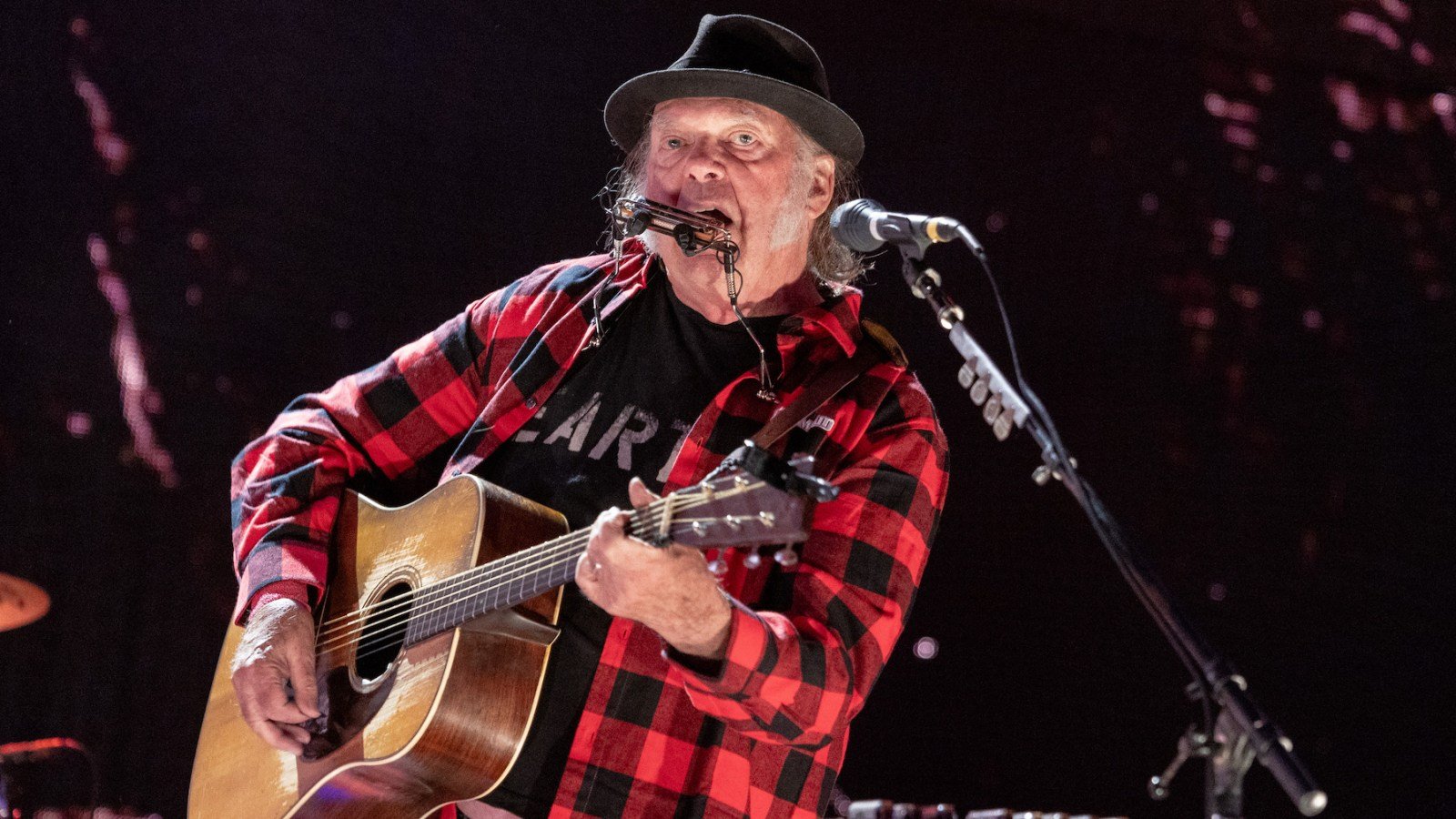 Neil Young, Stephen Stills, John Mayer Dig Deep at Scorching Hot Painted Turtle Concert