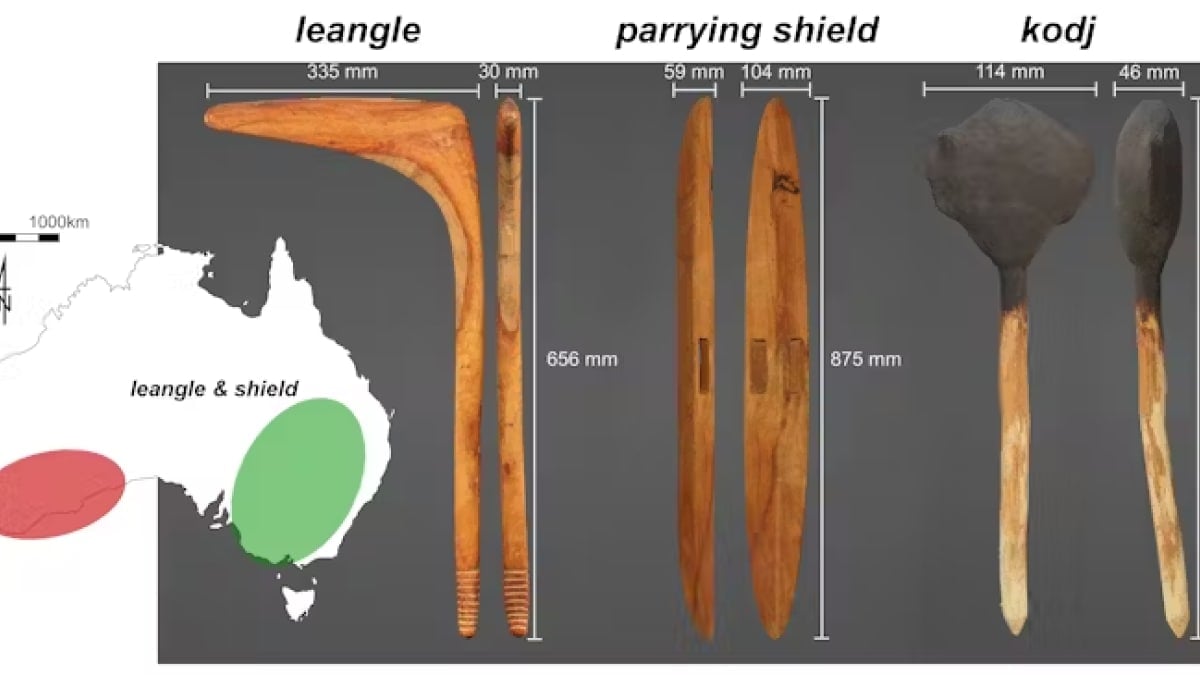 New Study Unveils Deadly Power and Precision of Indigenous Australian Weapons Kodj and Leangle