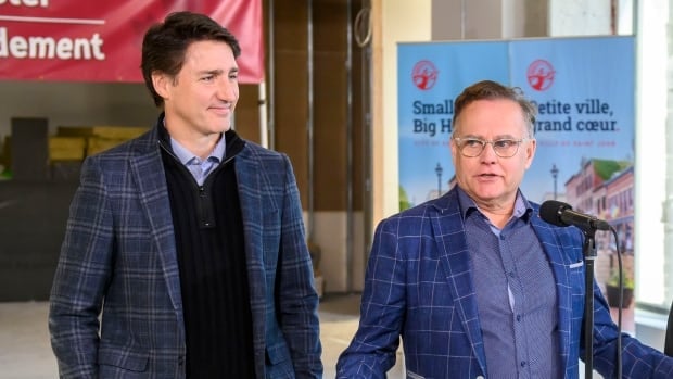 Next steps in Trudeau's caucus revolt up to each MP, says Liberal backbencher