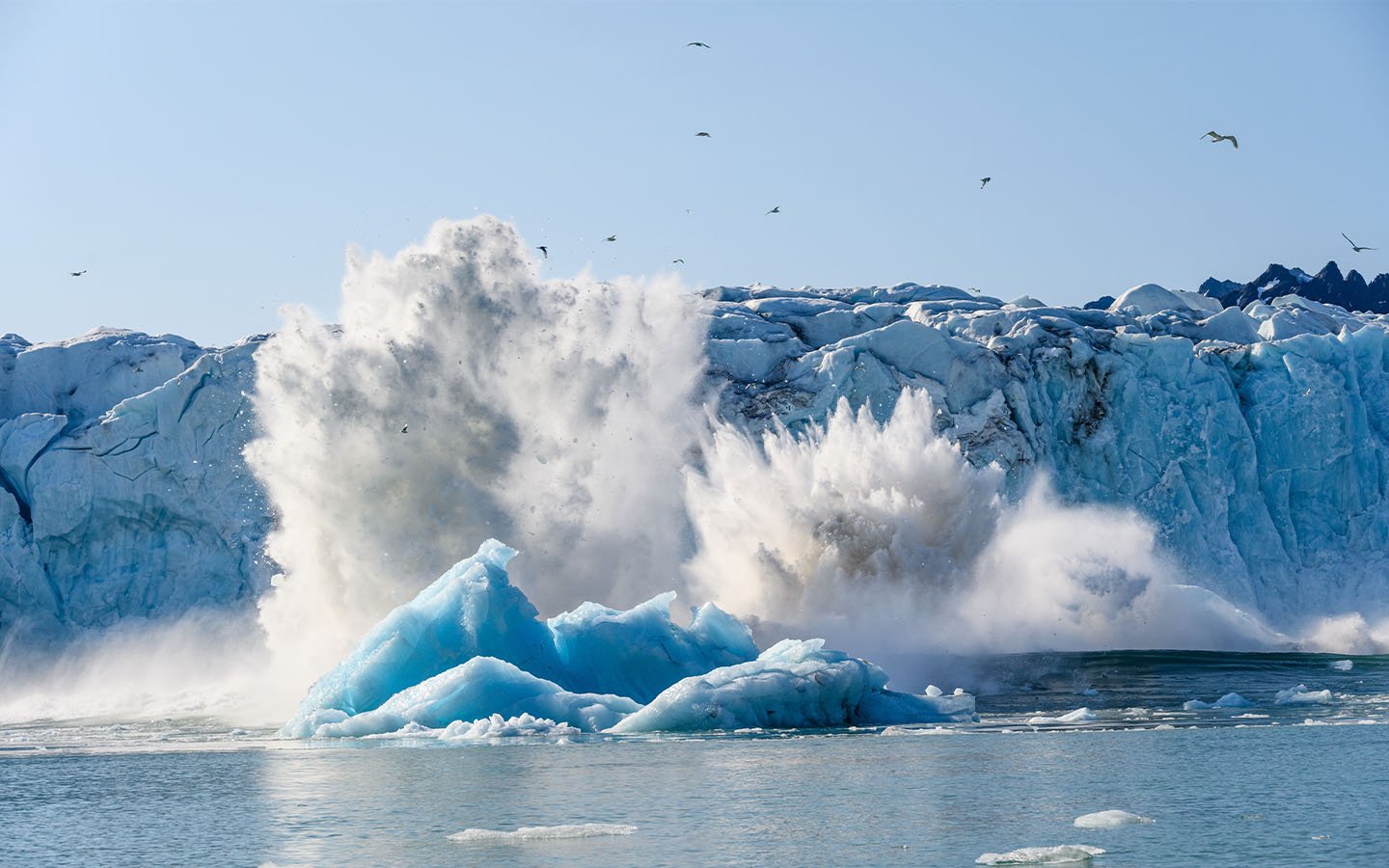 Oceans warming because of climate change are seeing a rise in toxic contaminants