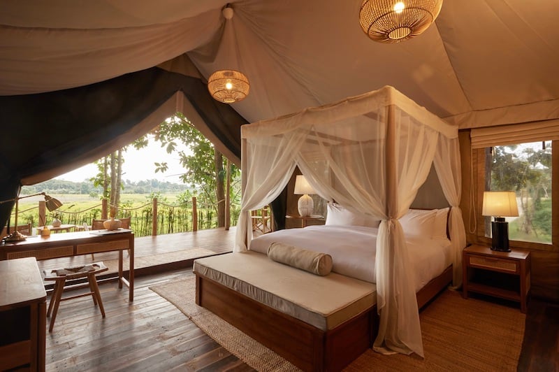 Packages for new luxury Chiang Rai tented camp