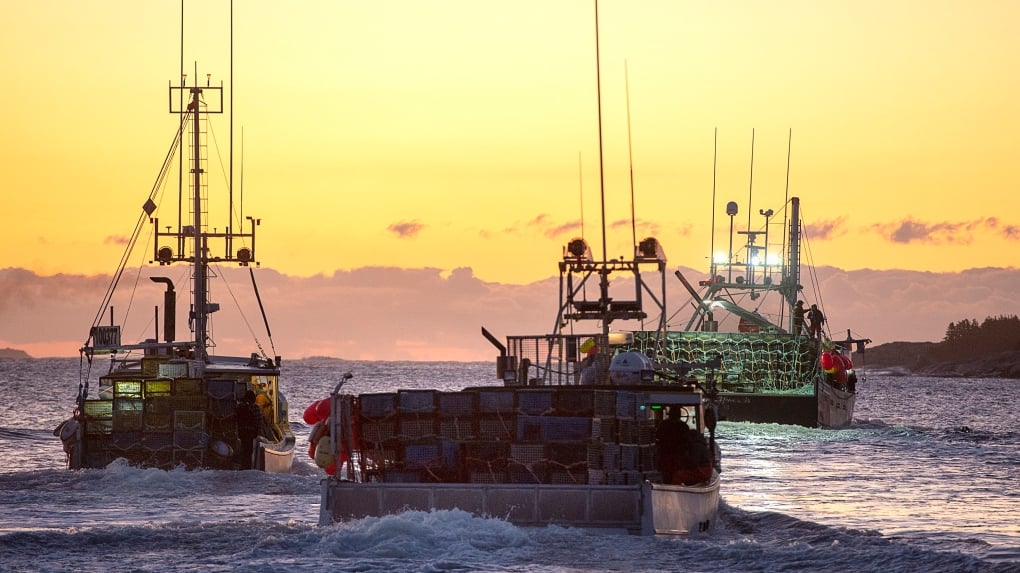 'Pattern' of violence, threats against federal fisheries officers in Maritimes: DFO