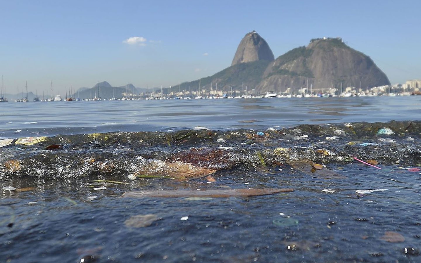 Plastic pollution is becoming a blight on Brazilian waters