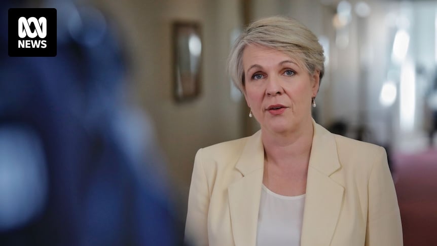 Plibersek releases reasons why $1bn McPhillamy's gold mine near Blayney is on hold