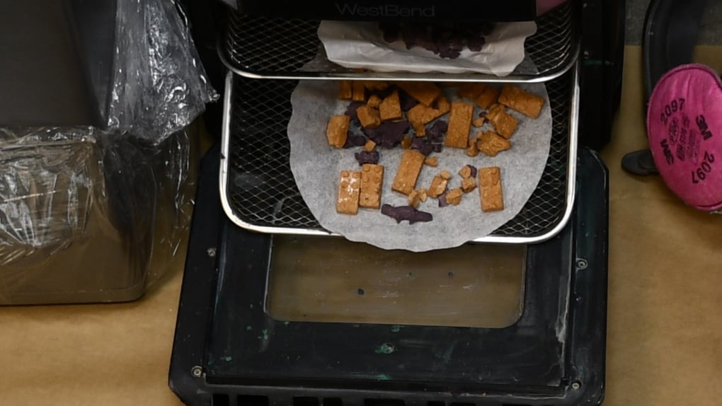 Police in B.C. say they seized fentanyl 'moulded into dinosaurs, Lego bricks and other shapes'