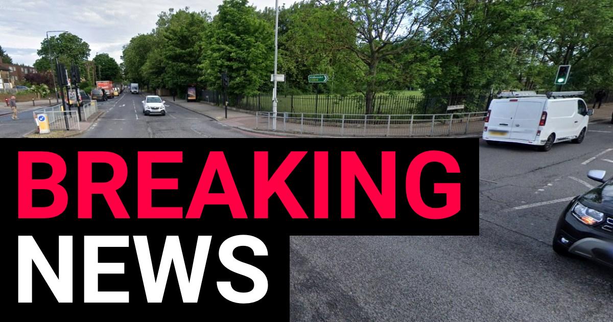 Pregnant woman and unborn baby die in crash with unmarked police car in London